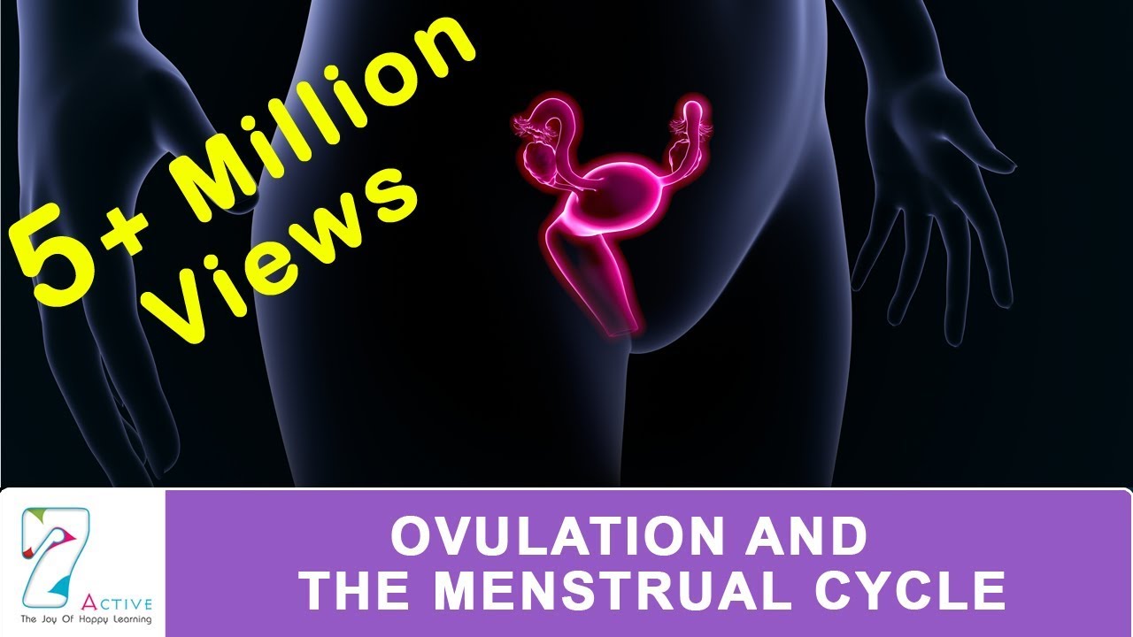 sport and health Page 7 Just another WordPress site